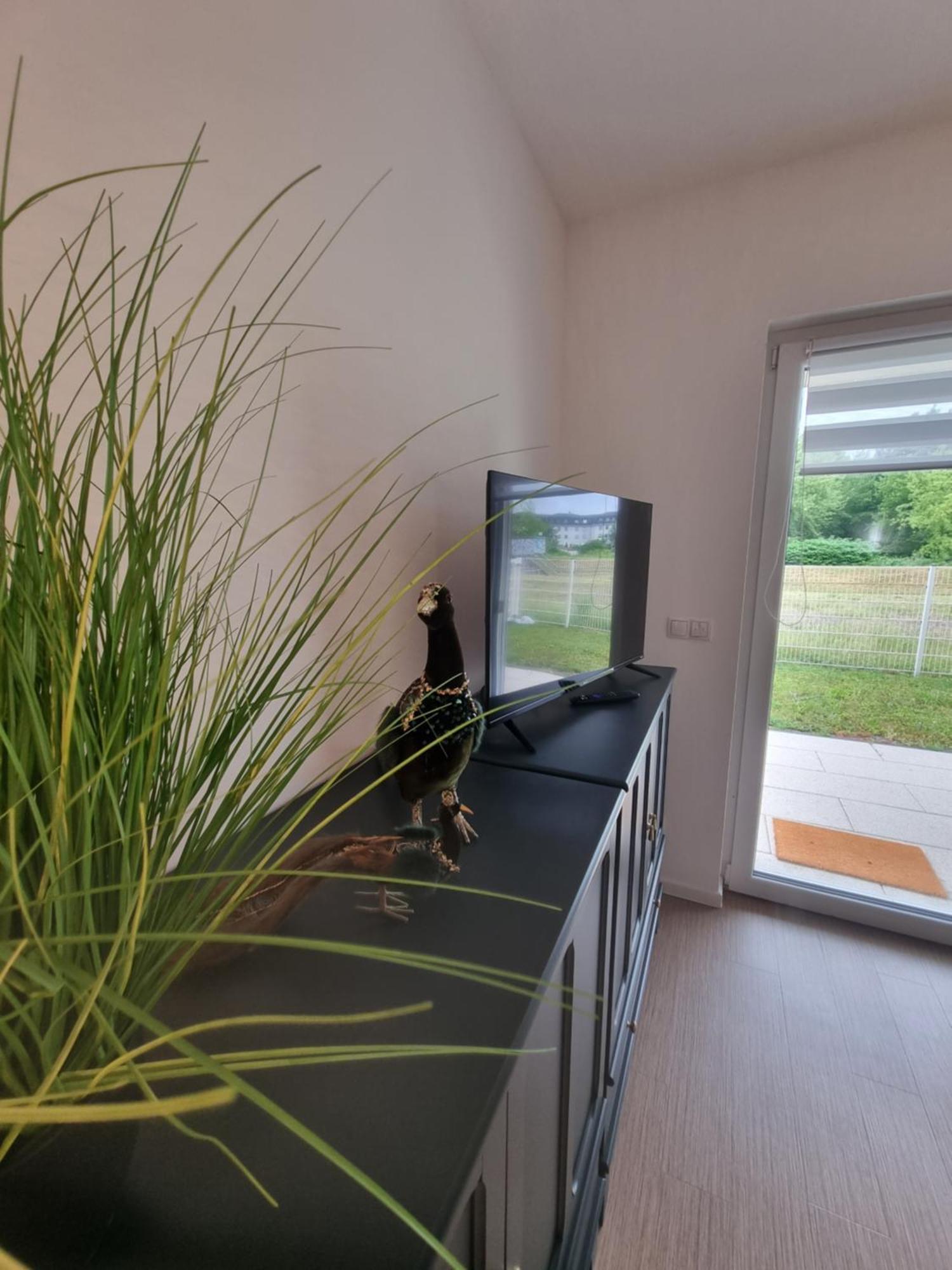 Ferienwohnung Im Palais Am See Am Goitzschesee Bitterfeld-Wolfen Bilik gambar
